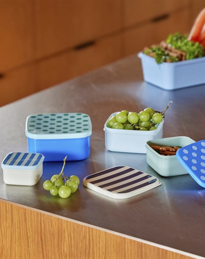 Plastic Food Boxes with Stripe
